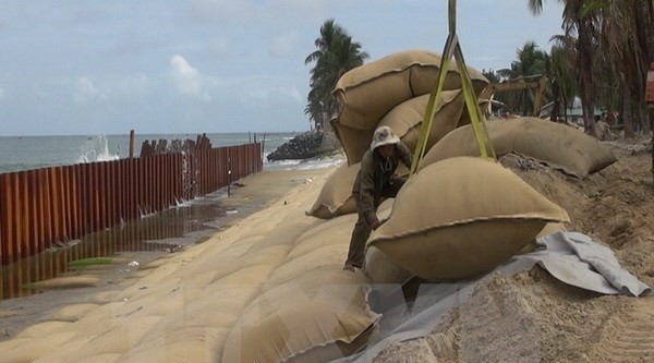 Sandbags are deployed to protect Cua Dai beach (Photo: VNA)