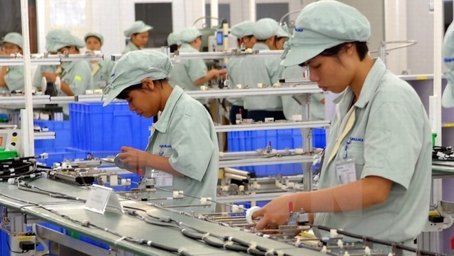 Thousands of Vietnamese workers are employed by Japanese corporations each year. (Credit: VNA)