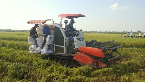 Applying mechanisation to boost rice production in Lam Thao district, Phu Tho province. (Credit: snnphutho.vn)