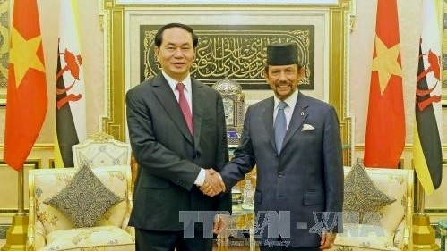President Tran Dai Quang meets with Bruneian Sultan Haji Hassanal Bolkiah Mu'izzaddin Waddaulah. (Credit: VNA)