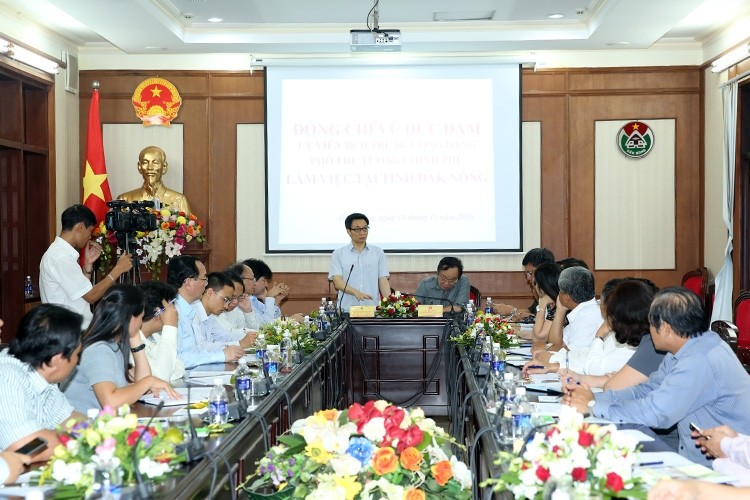 Deputy PM Vu Duc Dam addresses the working session. (Photo: VGP)
