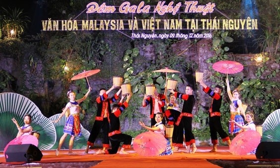 A performance by Vietnamese artists at the arts programme (Credit: baothainguyen.org.vn)