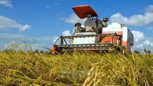 Vietnam extends rice trade deal with Philippines