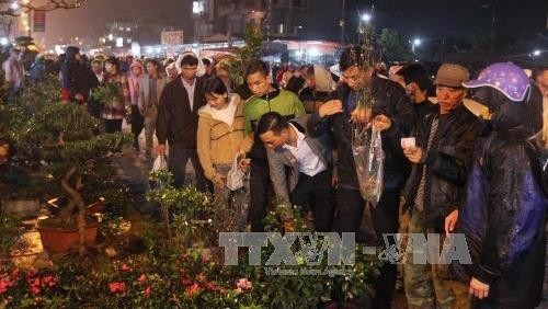 Many varieties of ornamental plants are on sale at Vieng market. (Photo: VNA)