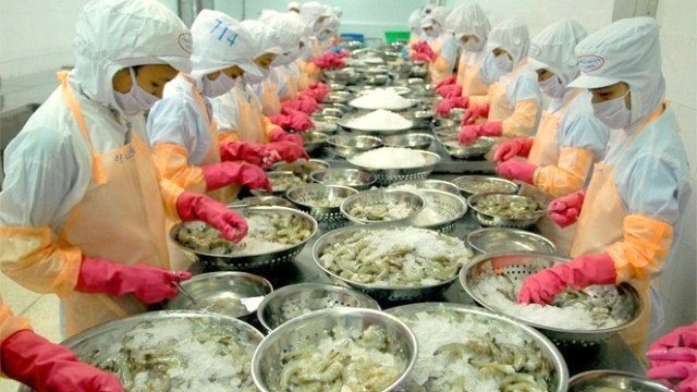 Australia has lifted its ban on shrimp imports, allowing shrimp originating in Australia to be processed in Vietnam, before re-entering the Australian market.