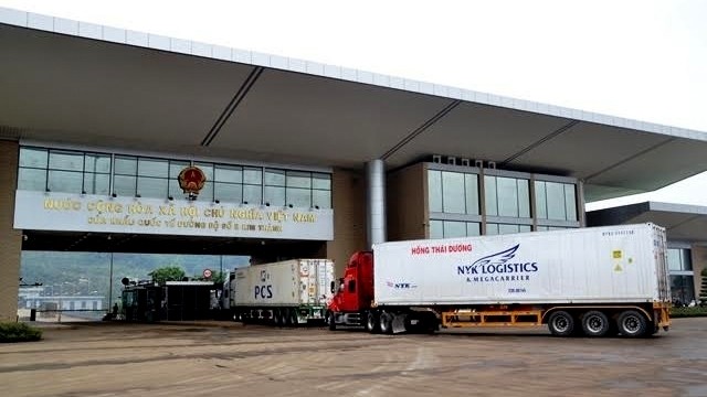 Dragon fruit exported to China via Kim Thanh Border Gate in Lao Cai. (Credit: NDO)