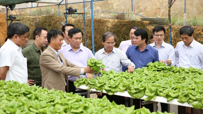 Deputy PM Vuong Dinh Hue visits a farm in Lam Dong province