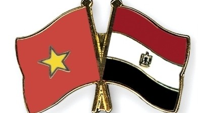 Further accelerating friendly cooperative relations between Vietnam and Egypt