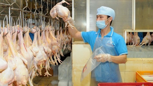Packing chicken products for consumer market in Ho Chi Minh City. (Credit: VNA)