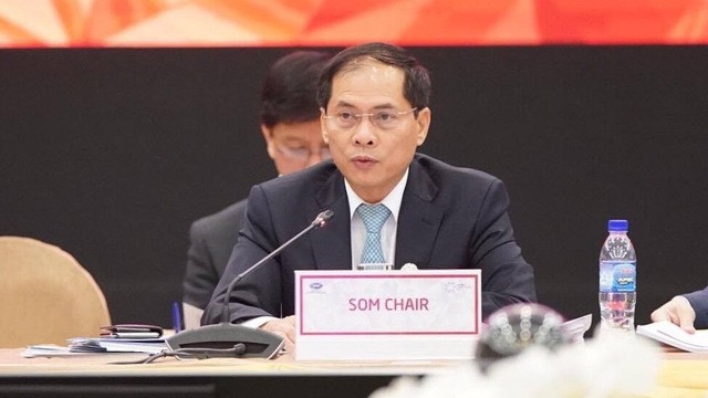 Vietnamese Deputy Minister of Foreign Affairs and APEC 2017 SOM Chair Bui Thanh Son speaks at the meeting (photo: Thuan Thang)