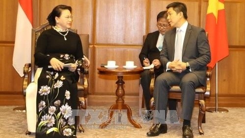 National Assembly Chairwoman Nguyen Thi Kim Ngan (L) holds talks with her Singaporean counterpart Tan Chuan-Jin 