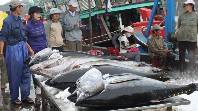 Tuna exports for the year has been completed early as the figure already hit US$541 million as of November.