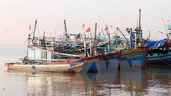 Fishing boats dock in a safe port in Rach Gia city of Kien Giang (Photo: VNA)