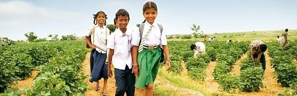 Pupils in rural area of India (Photo: Quora)