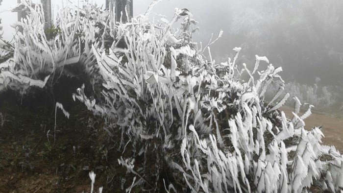 Mountain peaks in Mu Cang Chai district covered with ice for the third time within only one month.(Photo: VOV)