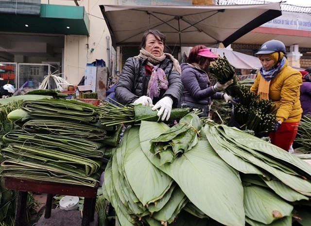 With only a few days until the lunar New Year, the market on Tran Quy Cap Street behind the Hanoi Railway Station was crowded with buyers visiting the busy stalls with dong leaves for sale.