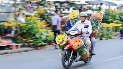 Southern locals welcome a peaceful and traditional Tet