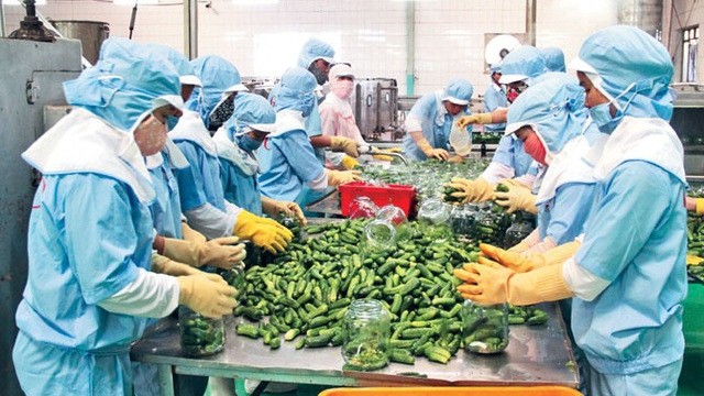 Trade missions play an important role in Vietnam's impressive export.