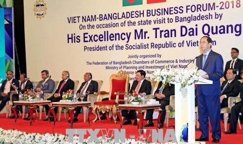 President Tran Dai Quang addressing the forum (credit: VNA)