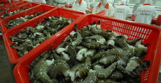 Vietnam asks US to review anti-dumping duty on shrimps
