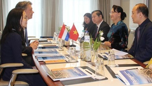 Vietnamese delegates (R) meet with representatives from the Port of Rotterdam International (Source: VOV)
