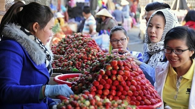 In 2018, exports of agricultural products promise a windfall for the agricultural sector. (Photo: Hai Nam)