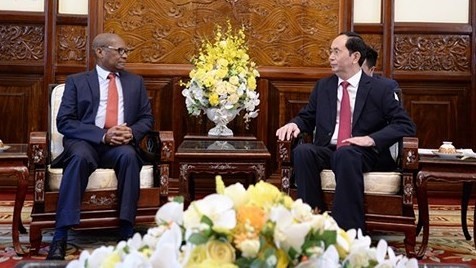 President Tran Dai Quang meets with South African Ambassador Mpetjane Kgaogelo Lekgoro. (Photo: VOV)