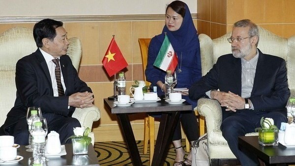 Speaker of the Parliament of Iran Ali Ardeshir Larijani (R) meets VIFA President Dang Nhu Loi (Source: VNA)
