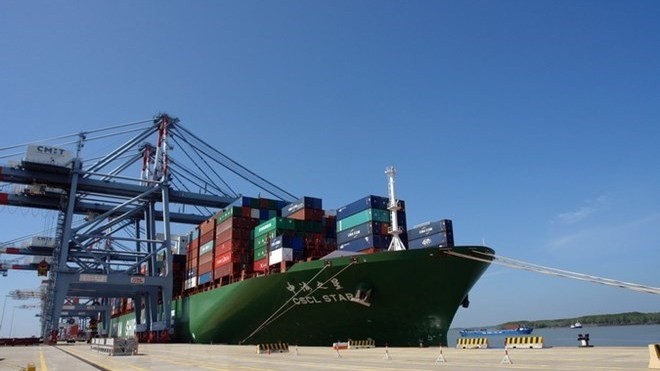 A view of the International Container Terminal Tan Cang - Cai Mep in Phu My district-level town (old Tan Thanh district), Ba Ria - Vung Tau. (Photo: VNA)