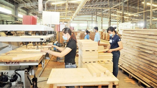 Vietnam’s wood industry may reach a new record export turnover of US$9 billion this year (Illustrative image)