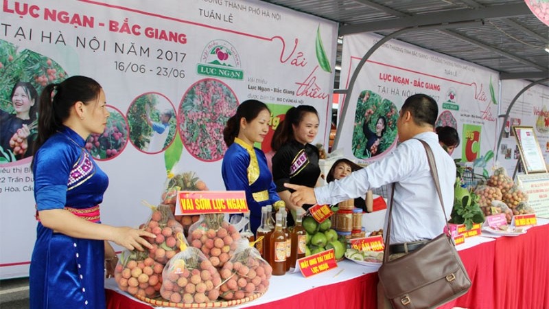 The Luc Ngan - Bac Giang Lychee Week in Hanoi in 2017, one of trade promotion activities to boost the consumption of lychees (photo: enternews)