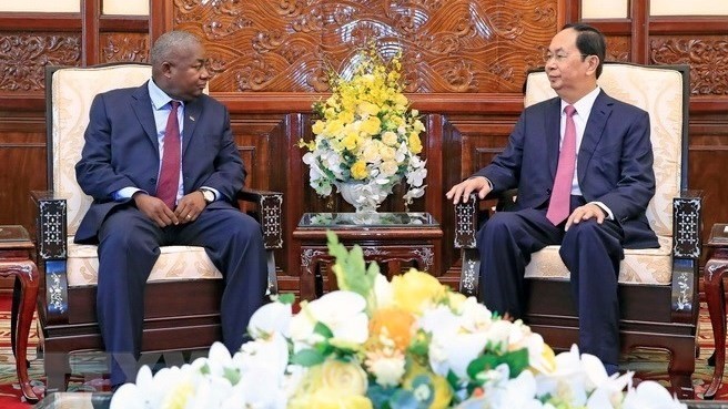 President Tran Dai Quang (R) hosts Mozambican Ambassador Leonardo Pene (Photo: VNA)