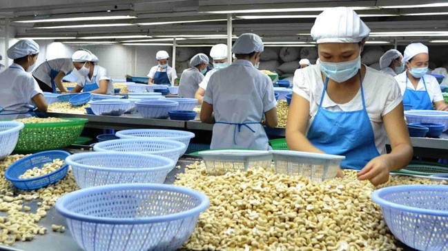 Vietnam’s cashew exports make US$1 billion in first four months