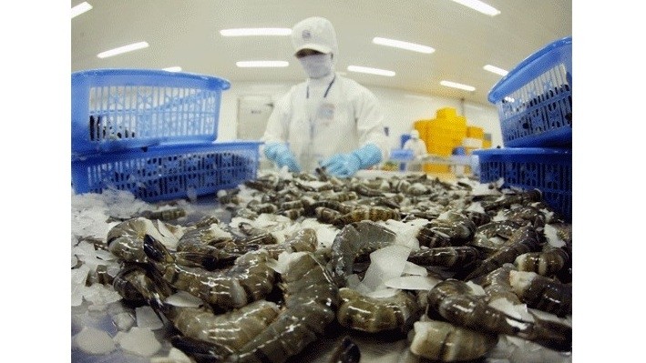 The EU market was the largest export market of Vietnamese shrimp in the first quarter of this year.