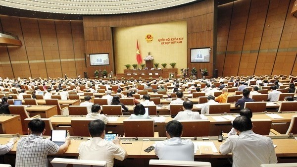 The plenary session on May 29 (Photo: VNA)
