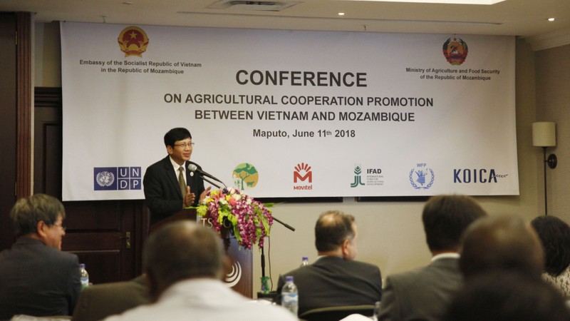 Vietnamese Ambassador to Mozambique, Le Huy Hoang, speaks at the conference 