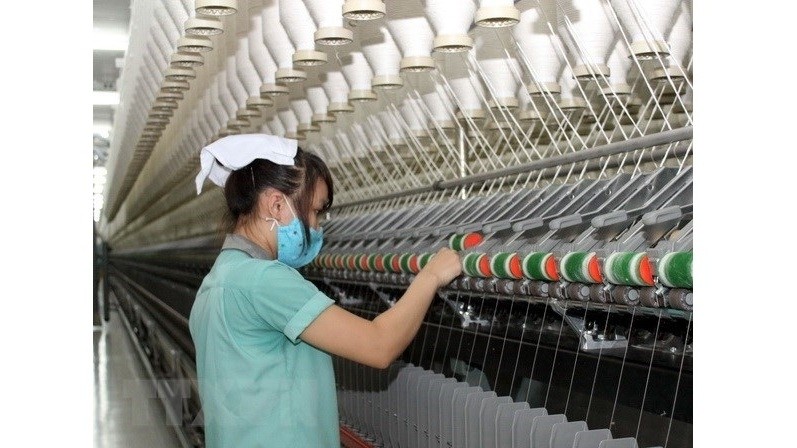 The wool factory is estimated to produce about 4,000 tonnes of wool per year for domestic consumption and exports. (Illustrative photo: VNA)