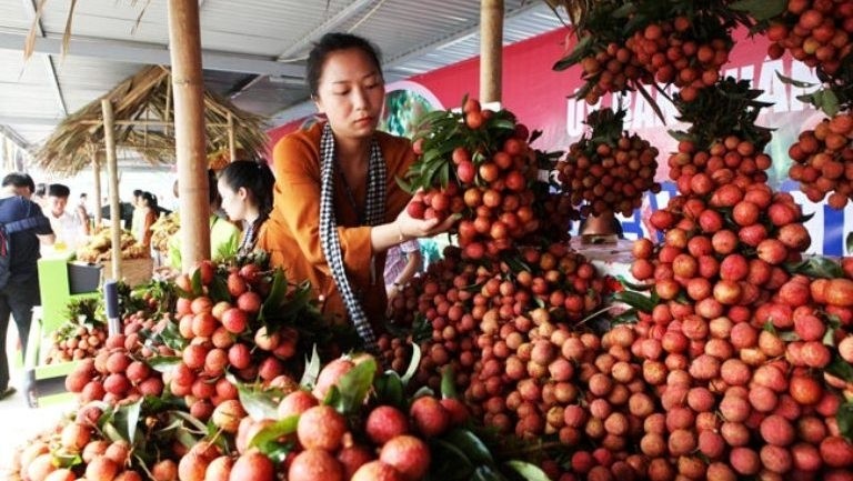 Bac Giang lychees showcased at the lychee week in Hanoi (photo: baocongthuong)