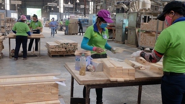 Vietnam exported US$66.7 million worth of timber and timber products in the first five months of 2018.