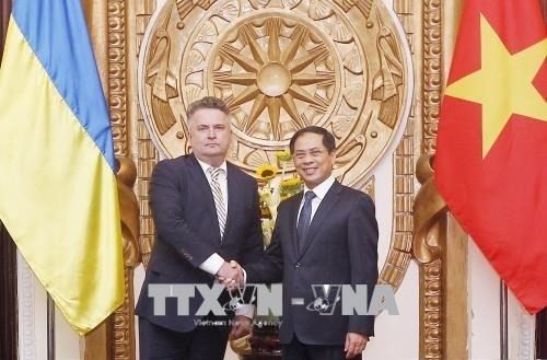 Deputy Foreign Minister, Bui Thanh Son, and his Ukrainian counterpart, Sergiy Kyslytsya (Photo: VNA)