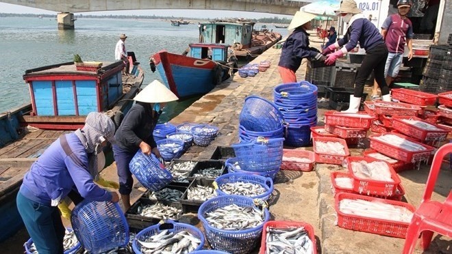 Fishermen in central coastal Quang Tri province (Photo: VNA)