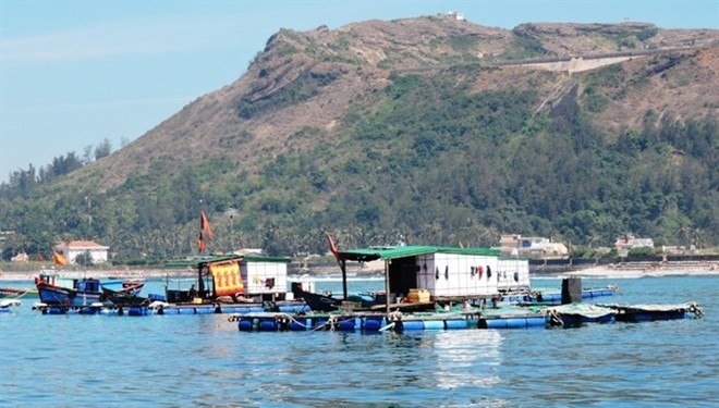 An aquatic farm built in the sea off Ly Son Island. (Photo: VNA) 