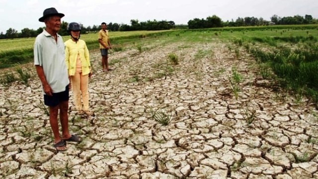 Drought caused by climate change has become a serious problem for Vietnam in recent years. (Photo: VNA)