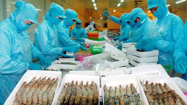 The trade war between the two powerful countries is anticipated to create a direct impact on Vietnamese seafood, including shrimp (illustrative image)