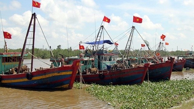 Fishing vessels are docked at a harbour in Thai Binh province.