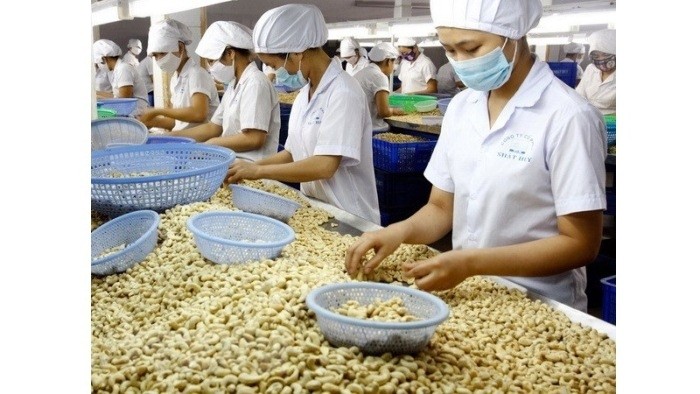 The PM has called for more drastic solutions to boost production and promote exports. (Photo: VNA)