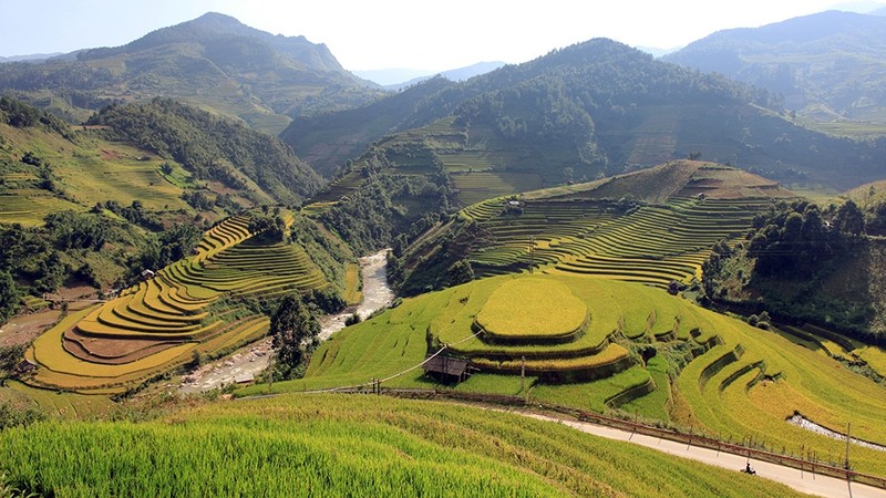 Mu Cang Chai is famous for its terraced fields spreading out over beautiful mountain slopes, which has been recognised as a national landscape alongside Hoang Su Phi and Sa Pa.