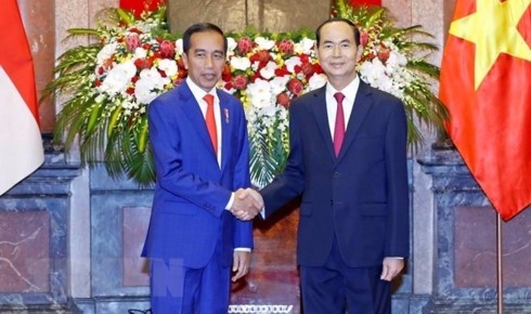 President Tran Dai Quang (right) and Indonesian President Joko Widodo in their meeting earlier this month. (Photo: VOV Online Newspaper).