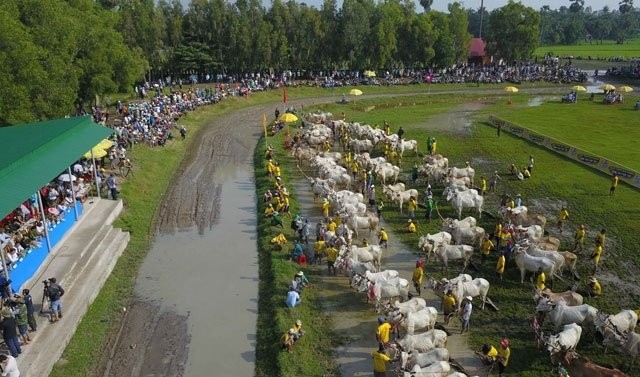 The race is part of the Sene Dolta, one of the most important annual festivals of the Khmer community in the southwest region.