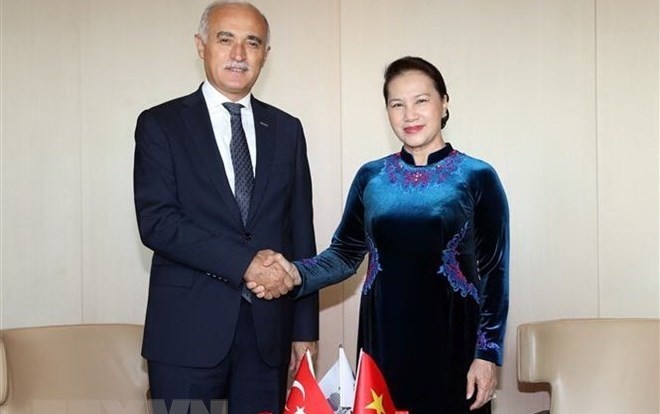  National Assembly Chairwoman Nguyen Thi Kim Ngan (R) and DEIK President Nail Olpak (Source: VNA)